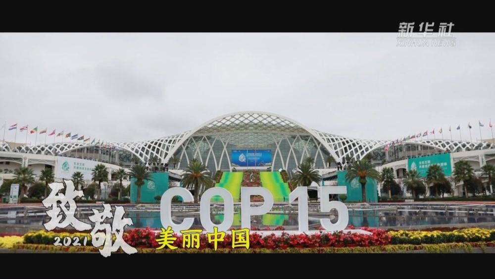 澳门疫情精准防控与太原动态清零，双城抗疫模式的比较与启示
