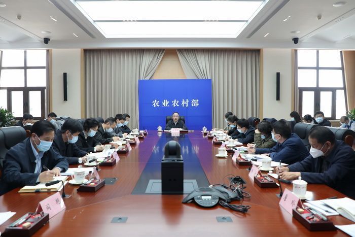疫情下的澳门关口，边境防疫的挑战与韧性