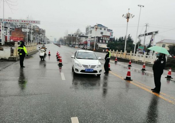 河南省疫情管控措施，精准施策与民生保障的双重挑战