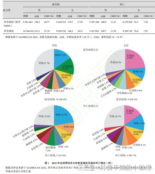 澳门疫情最新数据统计，防控措施与未来展望