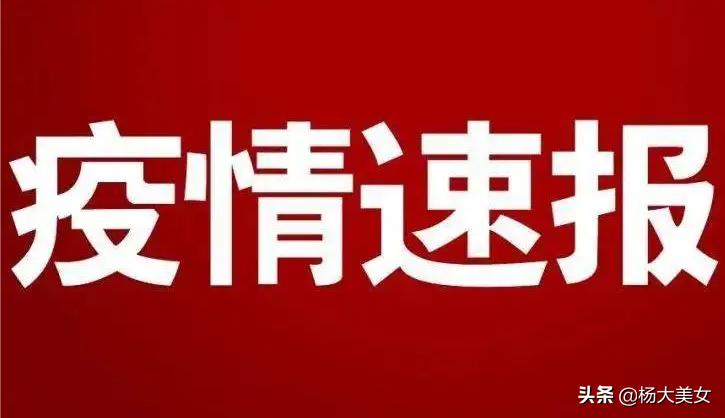 河南省疫情返乡最新消息，政策调整与防控措施全面解析