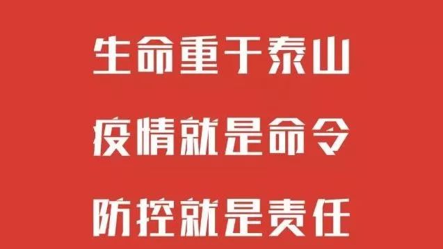 河南省疫情防控信息，精准施策与全民共筑健康防线
