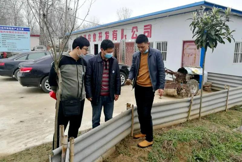 河南省疫情防控指挥部最新消息，科学精准施策，筑牢全民健康防线