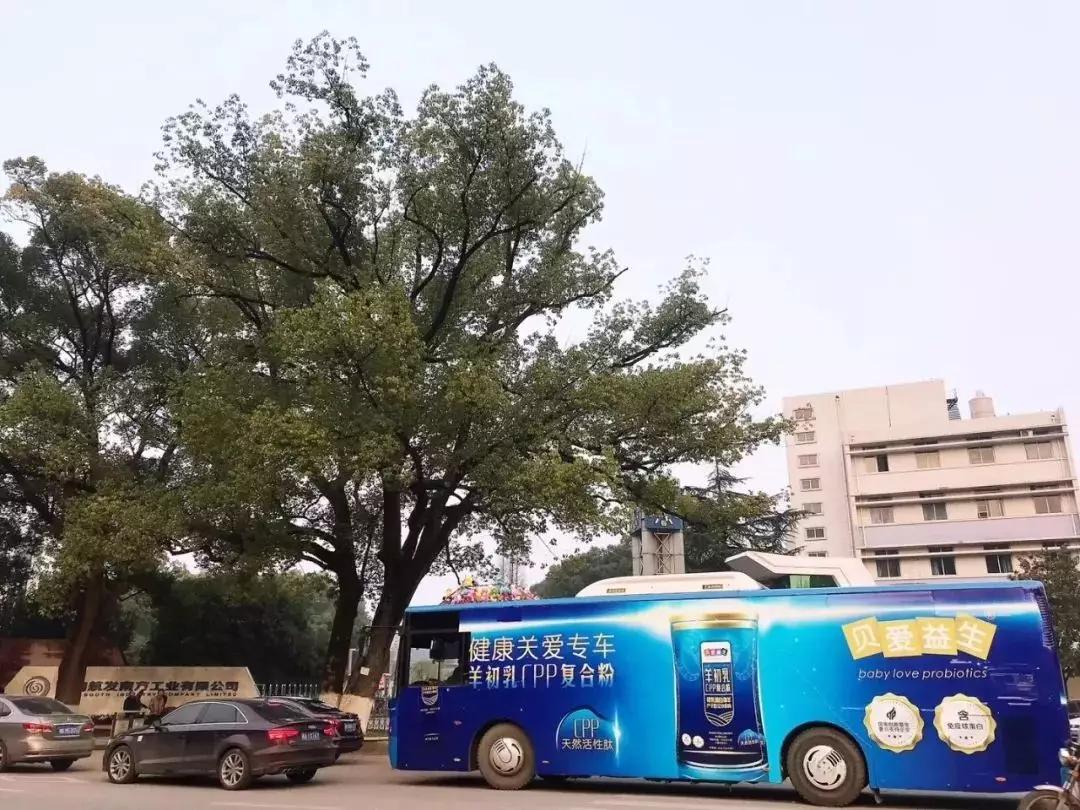河南省疫情公布情况，透明化进程与公众信任的构建