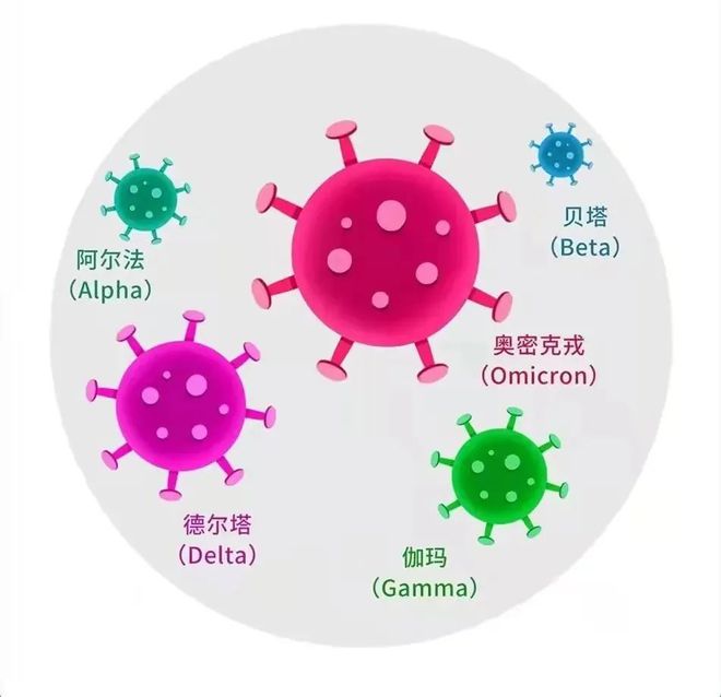 哈尔滨疫情再起，疫苗究竟还有用吗？深度解析疫苗保护力与变异病毒的关系