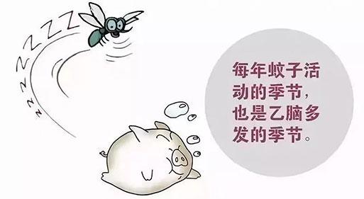 北京疫苗全国覆盖？青海省居民能否顺利接种？深度解析疫情下的疫苗分配