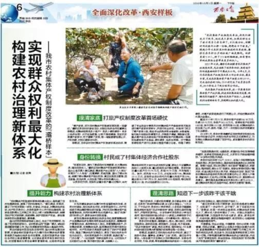 北营村的守望者，一位村长的坚守与变革