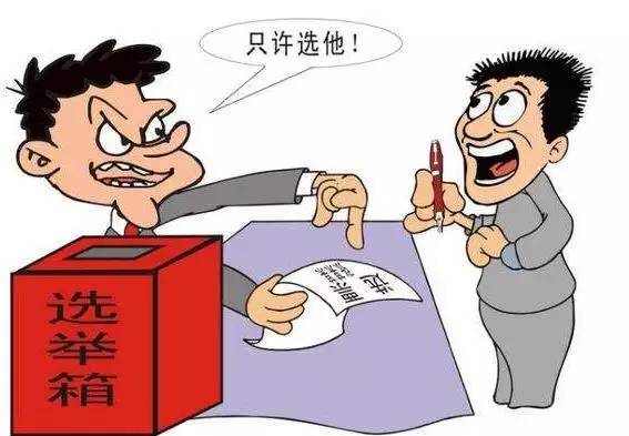 权力阴影下的村庄，石家庄一村支书被指控背后的基层治理困局