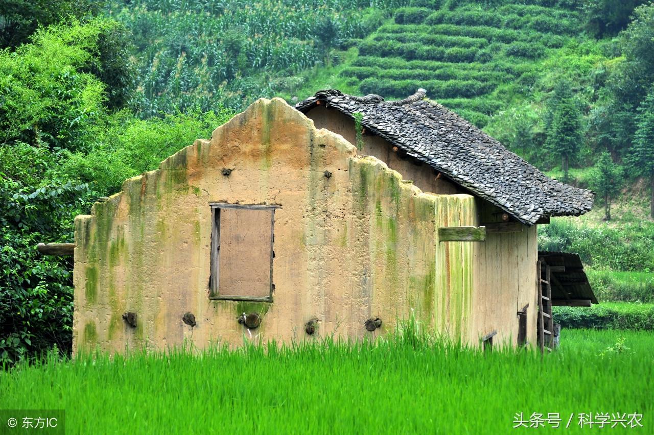 北京市村委书记的行政级别解析，权力与职责的边界