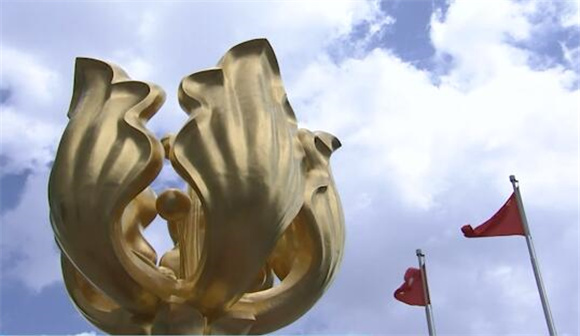 香港疫情，中低风险背后的防疫密码与未来挑战
