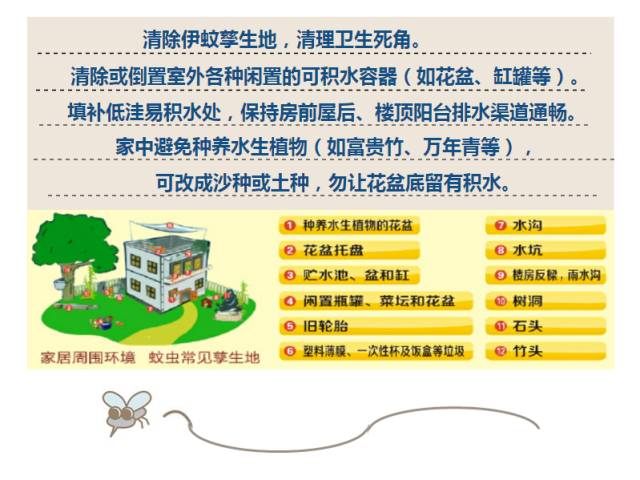 2024年昆明登革热疫情，防控挑战与城市韧性考验