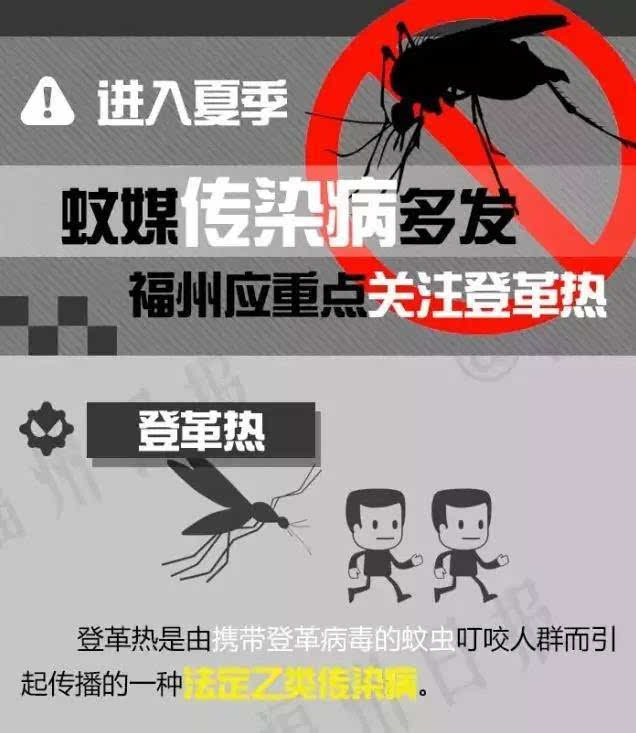 2024年福州登革热疫情现状，风险、防控与应对措施