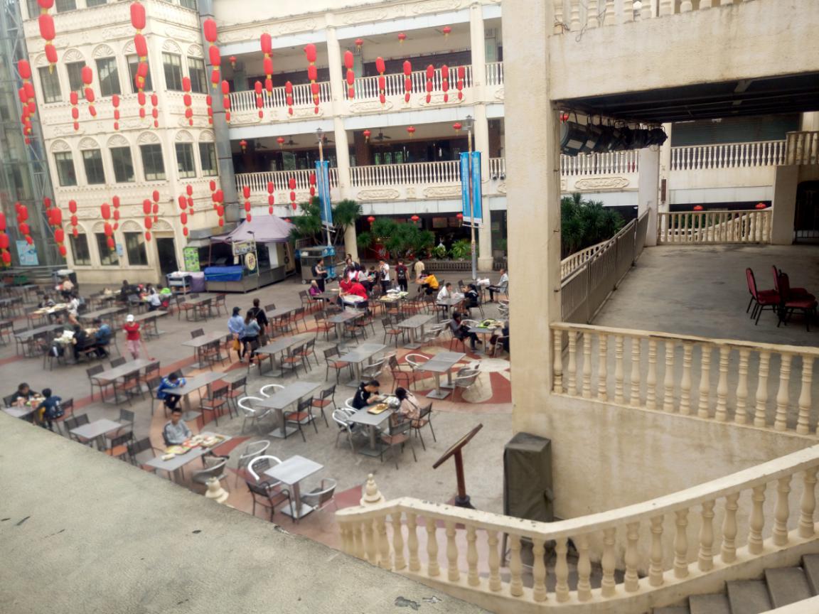 沈阳疫情下的溜达鸡，一座城市的温情与韧性