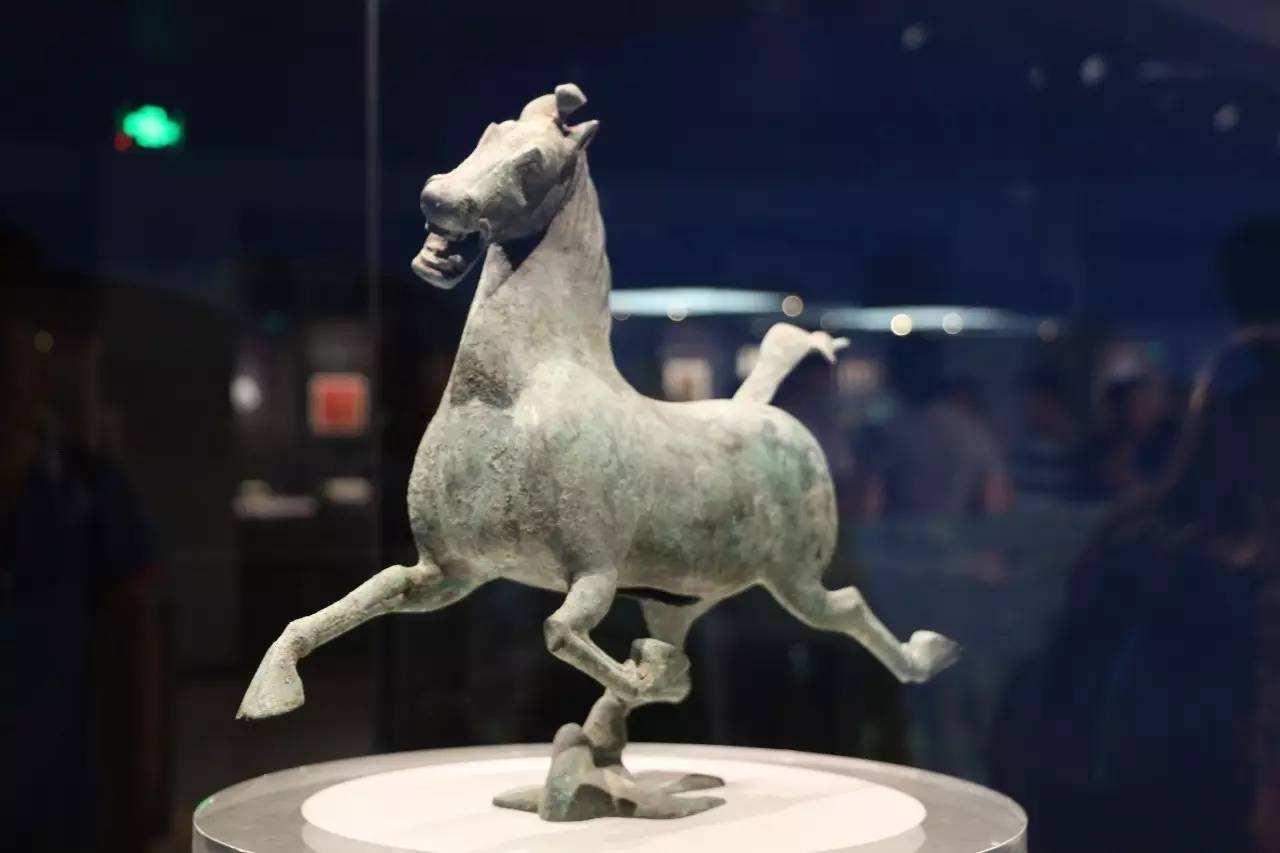 沈阳疫情下的溜达鸡，一座城市的温情与韧性