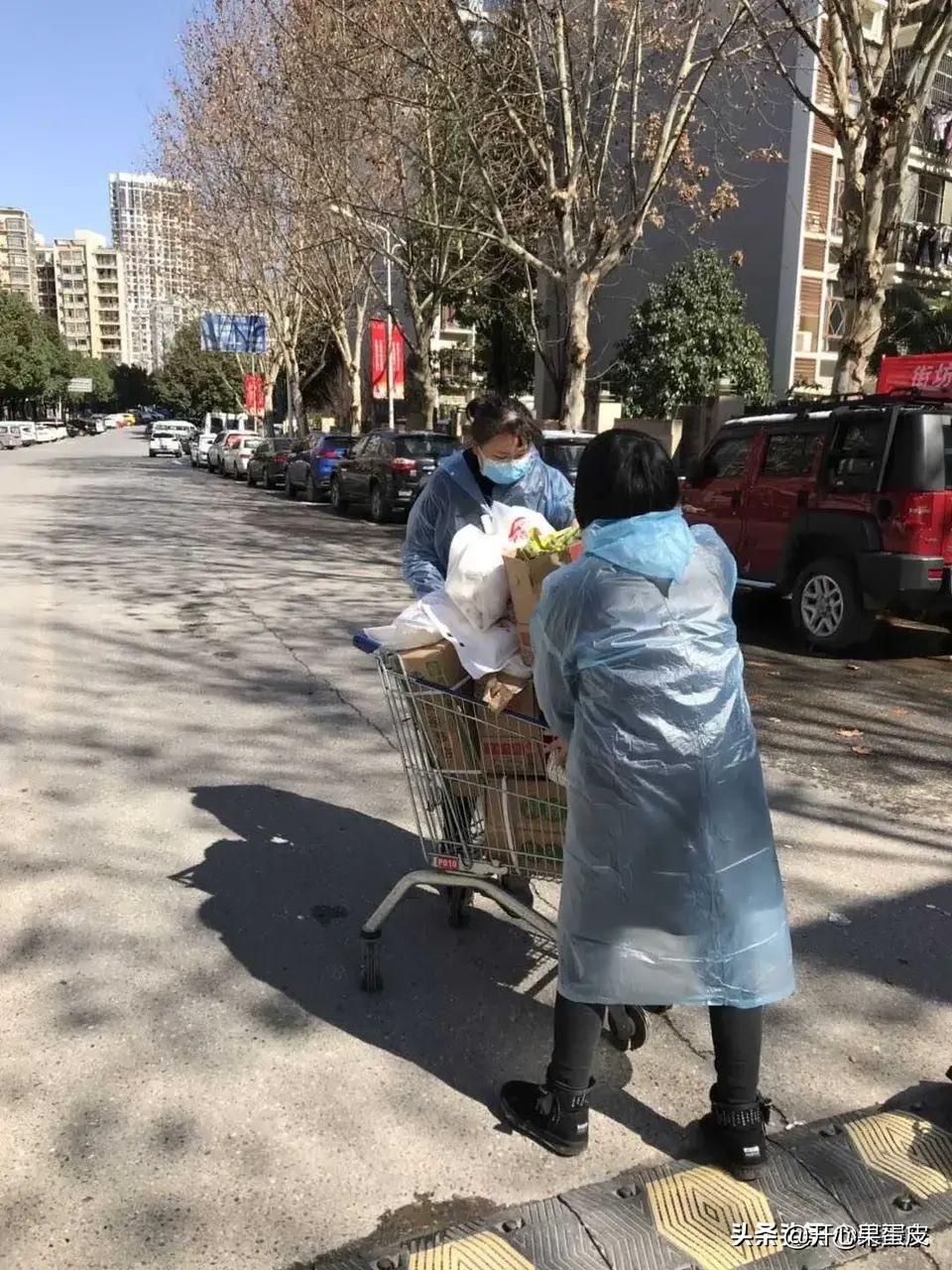 疫情封城记忆，沈阳与长春的抗疫时间线对比