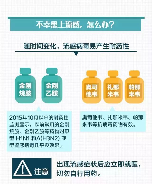沈阳新冠死亡人数，数据背后的真相与反思