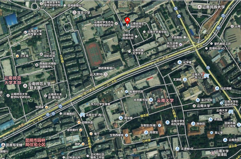 沈阳市澳门路究竟属于哪个区？一文详解其地理位置与周边特色
