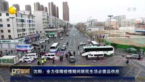 沈阳疫情下的市场关闭，经济阵痛与民生韧性的双重考验