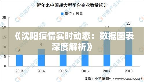 疫情下的城市记忆，沈阳封城时间与青海省抗疫数据的深度解析