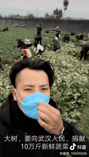 沈阳疫情是否封城，防控措施与民生影响的双重考量