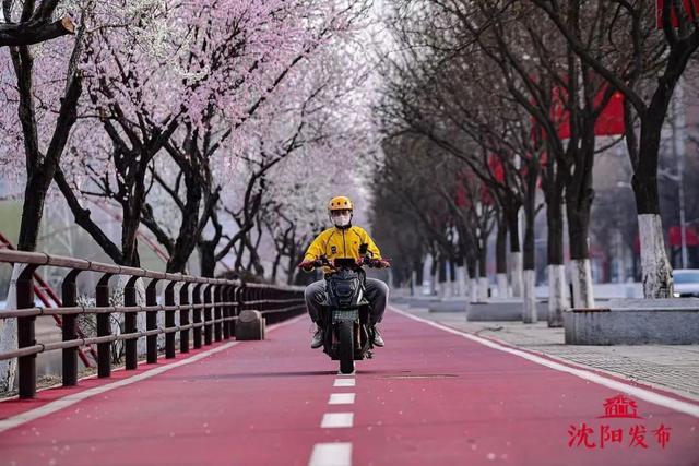 2022年沈阳抗疫纪实，封闭之下的城市脉动与人性微光