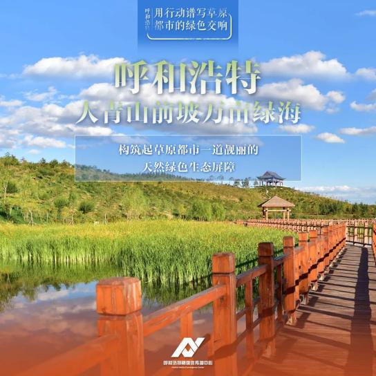 双城记，呼和浩特的草原牧歌与济南的泉水叮咚