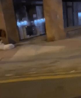 济南封城了吗？深度解析疫情下的城市现状与未来走向