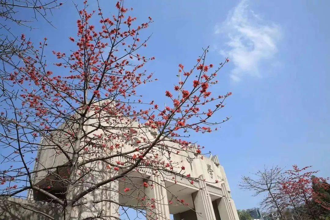 济南疫情最新动态,防控措施升级与市民生活指南 济南疫情最新动态,防控措施升级与市民生活指南