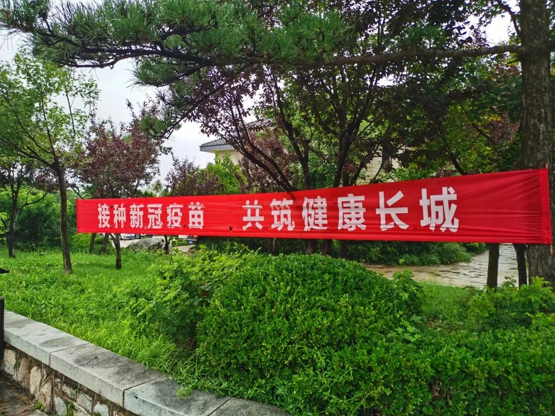 济南疫情最新数据，防控措施升级与市民应对指南