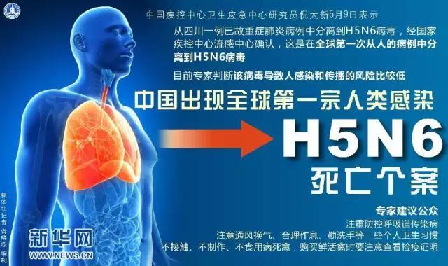 疫情下的双城记，合肥死亡人数与广州感染数据的深度解析