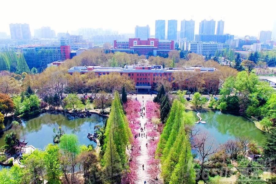 疫情下的城市对比，合肥死亡人数与福州疫情数据深度解析