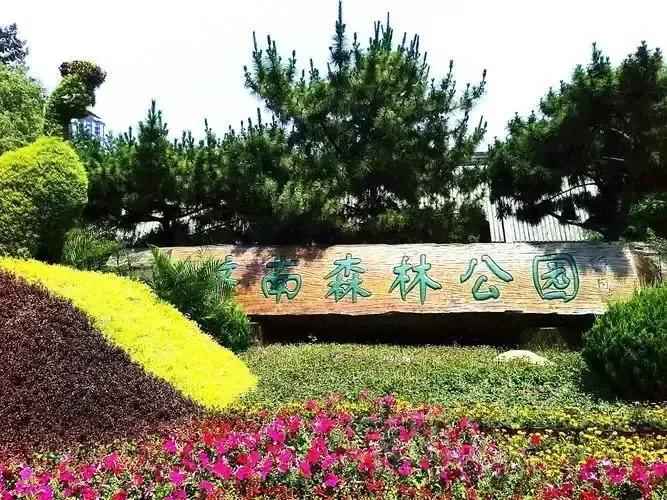 2021春节济南疫情通知，一座城的坚守与温情