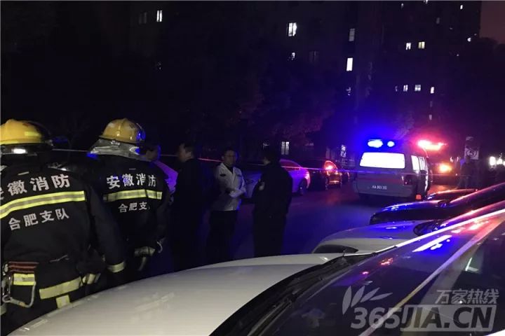 合肥最新死亡消息，城市背后的生命警示与反思