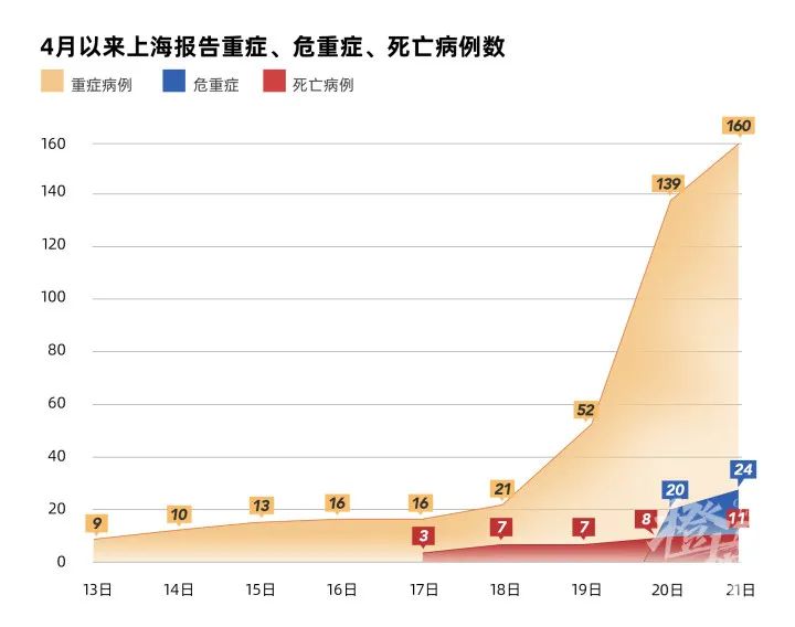 疫情下的生命之重，合肥死亡人数与上海疫情数据的深度解析
