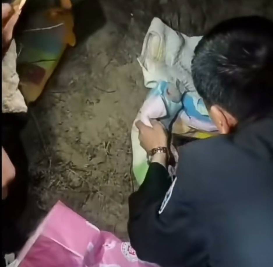 合肥校园婴尸案，血色青春背后的隐秘与救赎