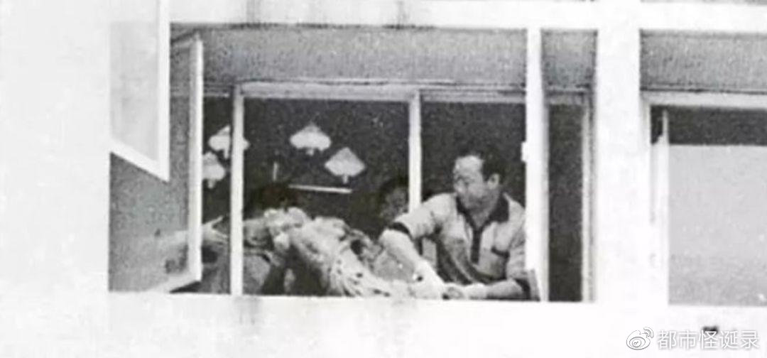 合肥校园婴尸案，血色青春背后的隐秘与救赎