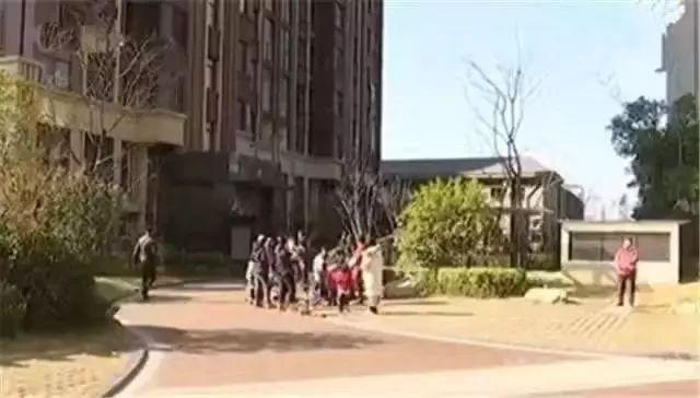 合肥2020学生坠楼事件，悲剧背后的教育反思与心理危机干预