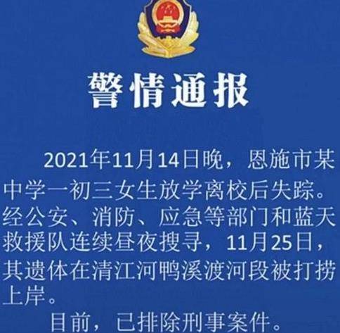 合肥学生死亡事件，教育、压力与生命的沉重思考
