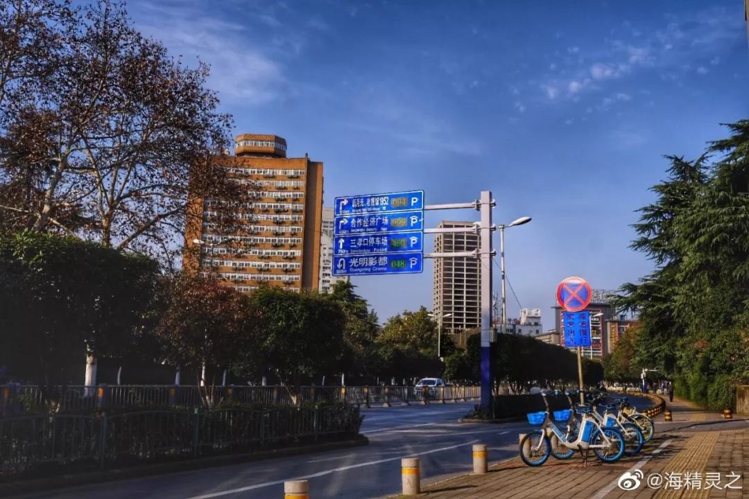 2021疫情下的合肥，一座城市的坚守与温度