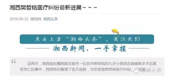 合肥事件最新进展，深度调查与多方回应全解析