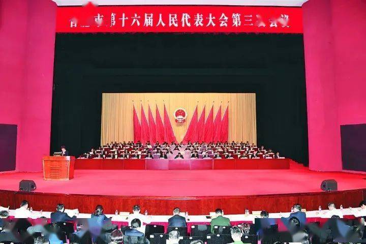 合肥疫情风暴，一座城的坚守与突围