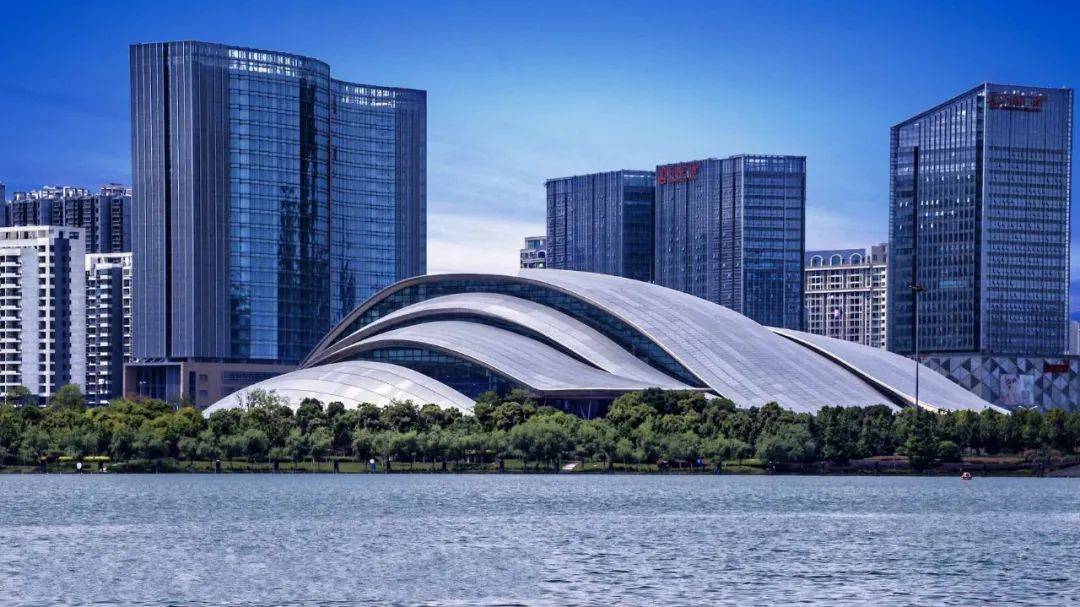 合肥2020，一座城市的抗疫记忆与韧性