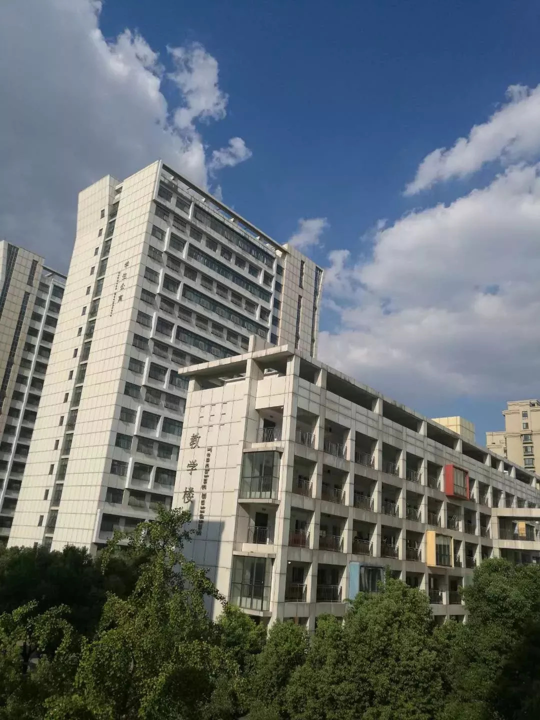 合肥八中新校址，教育新地标，未来新起点