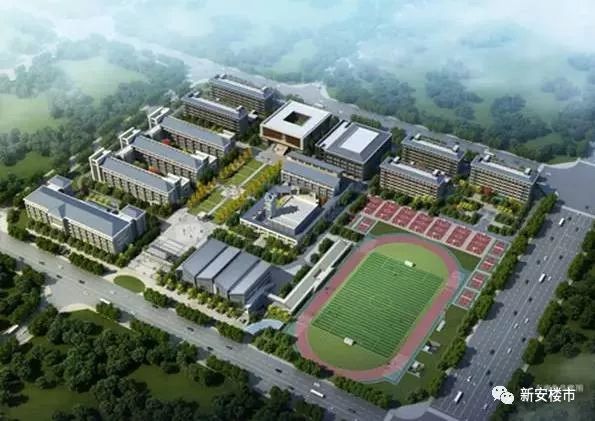 合肥八中，一所融合中学与高中的卓越教育殿堂