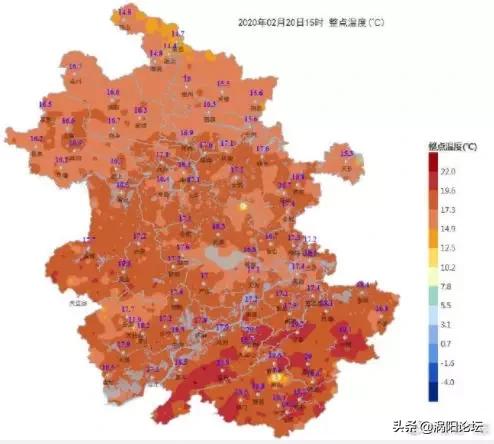 从武汉到合肥，疫情大考下的政府担当与城市温度
