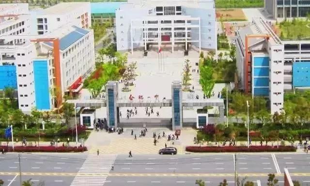 合肥八中新校区官网，数字化校园建设的典范与未来展望