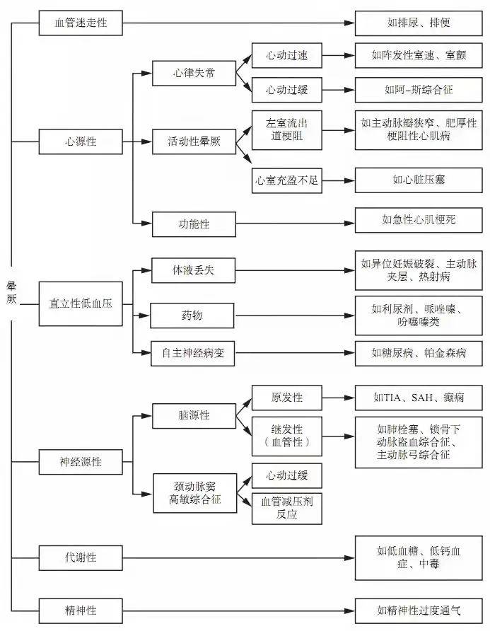 合肥八中内部地图，揭秘这所名校不为人知的角落与故事