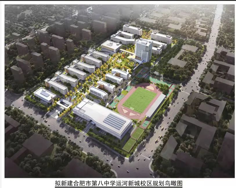 合肥八中属于哪个区？深度解析合肥八中的地理位置与教育影响力