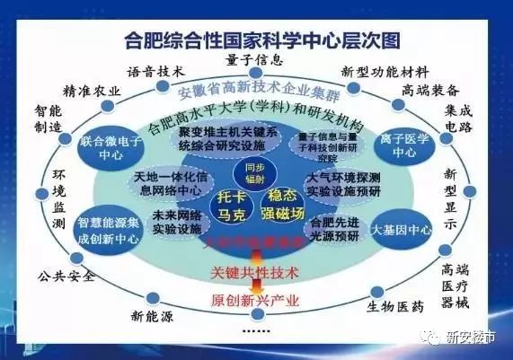合肥疫情时间线回溯，2022年10月12日的防控起点与城市韧性考验