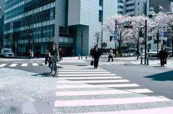 合肥被疫情包围了，一座城市的坚守与突围